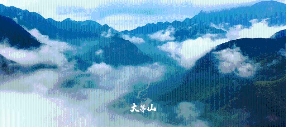 星际争霸Ⅱ