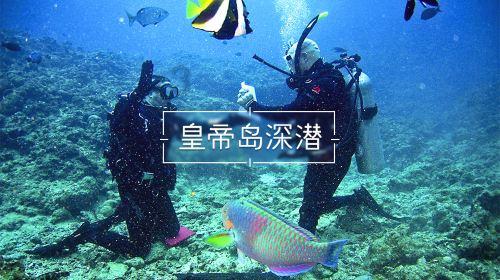 好学校、好专业和好城市之间该怎么选择呢？游戏画面