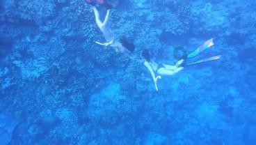小猫钓鱼开船版最新版下载