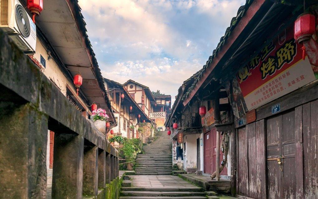 生肖马2024年1月份的健康展望